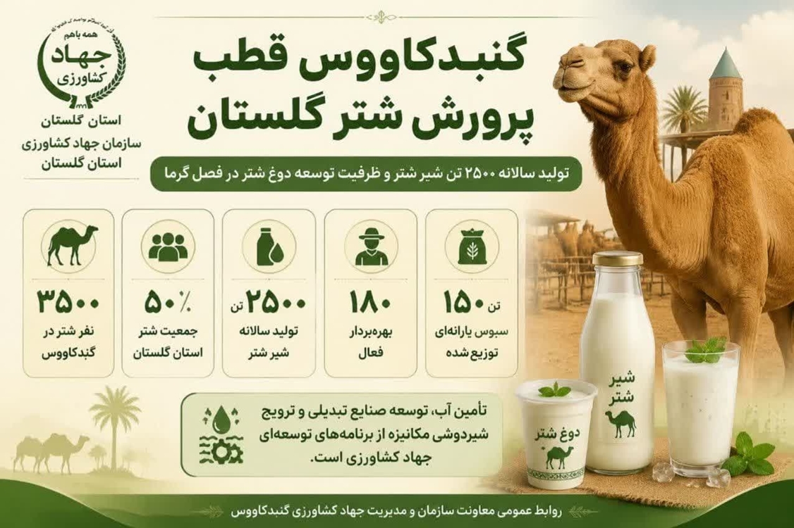 گنبد قطب پرورش شتر در گلستان 